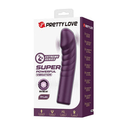 Boîte Pretty Love Rylan avec présentation des vibrations et de la recharge magnétique