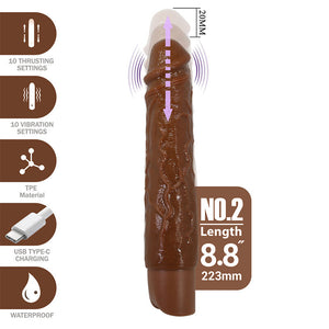 Brown Kessler: view of the vibrator and pictograms of vibrations, thrusting and USB-C charging