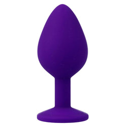 INTENSE PLUG ANAL SHELKI M LILAS