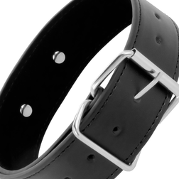 Close-up of the metal buckle, adjustment holes and stitching on the black collar
