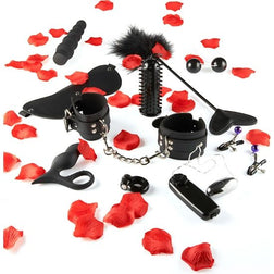 Coffret Toyjoy Lovetoy Starter avec 10 jouets et accessoires, vue de face