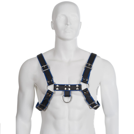 Harnais cuir véritable — Bulldog bleu et noir noir vu de face