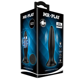 Plug vibrant rechargeable 12 modes avec télécommande