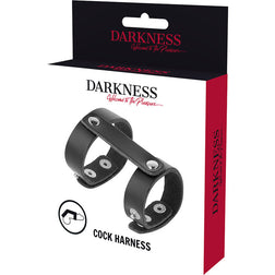 DARKNESS ANNEAU DE PENIS ET TESTICULES REGLABLE EN CUIR