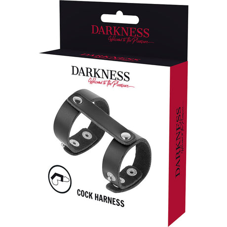 DARKNESS ANNEAU DE PENIS ET TESTICULES REGLABLE EN CUIR