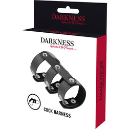 DARKNESS DOUBLE ANNEAU DE PENIS ET TESTICULES EN CUIR REGLABLE