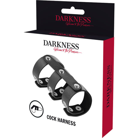 DARKNESS DOUBLE ANNEAU DE PENIS ET TESTICULES EN CUIR REGLABLE