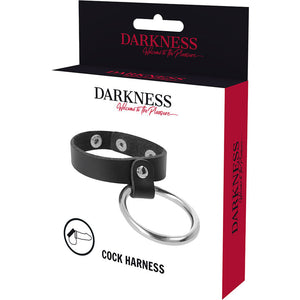 DARKNESS ANNEAU METALLIQUE POUR LE PENIS ET LES TESTICULES