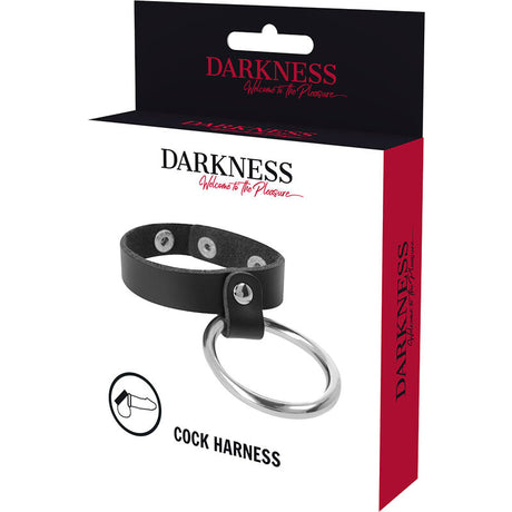 DARKNESS ANNEAU METALLIQUE POUR LE PENIS ET LES TESTICULES