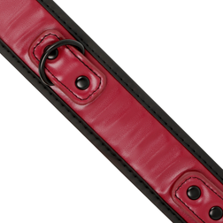 Collier + laisse chaîne cuir végan bordeaux doublure néoprène — vue 4
