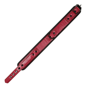 FETISH SUBMISSIVE DARK ROOM COLLIER CHAINE DOUBLURE EN NEOPRENE